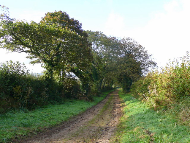 Track in Cornish farmland