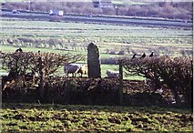 SH4573 : Lledwigan Standing Stone by Ray West