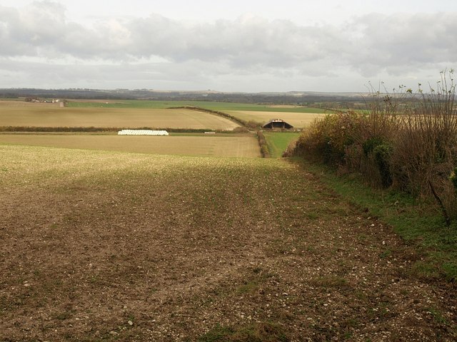 Field by lane to Tarrant Monkton