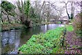 River Allen and Walford Bridge, Wimborne