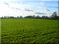 Field near Partridge Green