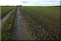 Track across a field, Pinvin