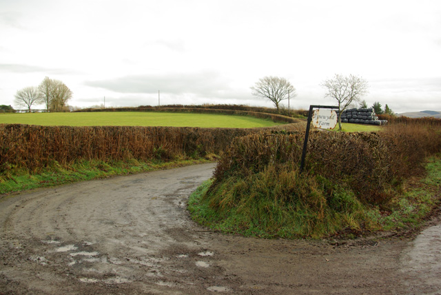 Entrance to Tynewydd Farm
