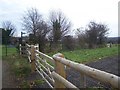 Footpath to Scragged Oak