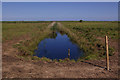 Drainage ditch, Cley Marshes