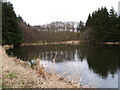 Pond below Cushat Hill