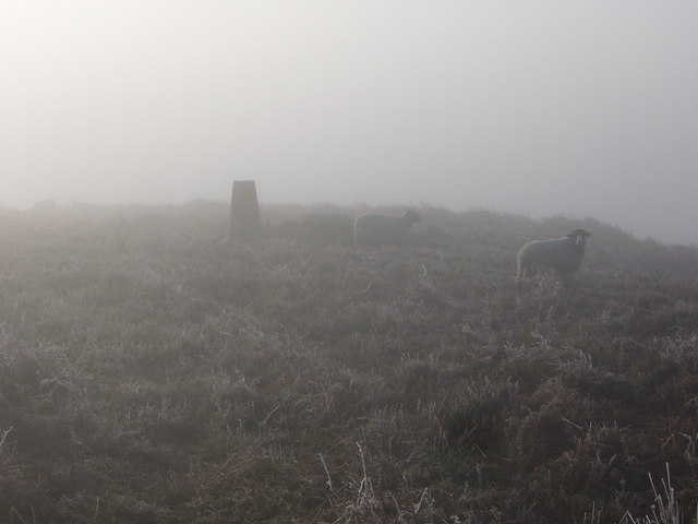 Fallinge trig on a freezing fog morning