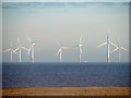 TF5763 : The Skegness Wind Farm by John Lucas