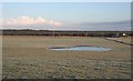 Ephemeral Pond near Muirton