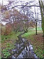 Stream in Springfield Park