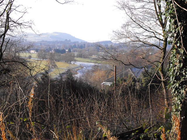 Looking from the bridleway