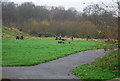 Picnic Site, Barnett