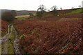 Byway at Blaen Ceste