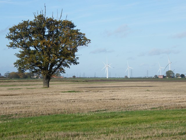 Windfarm Landscape