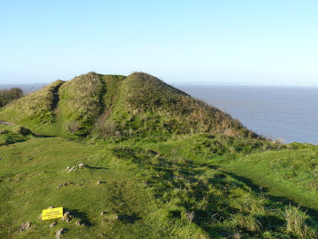A scrub covered mound before being cleared