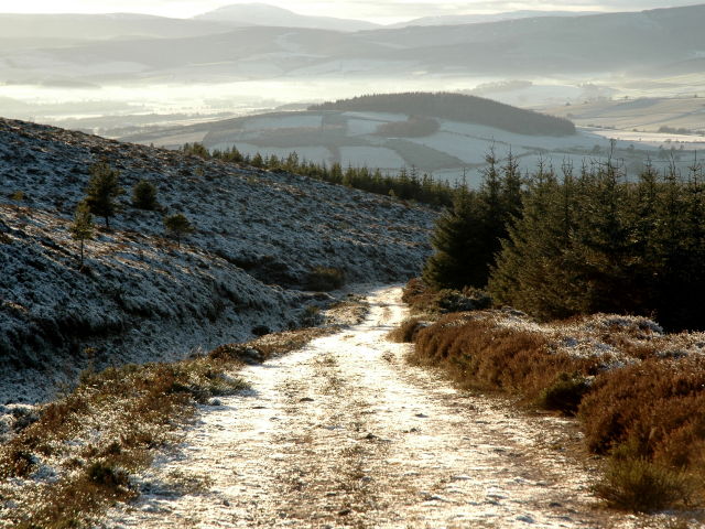Black Hill Track in Winter