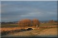 Bridge over the Lochter Burn