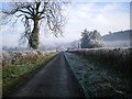 Frosty lane to Hopton