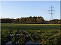 Field off  Staplewood Lane