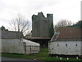 O0399 : Castle at Milltown, Co. Louth by Kieran Campbell