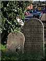 Gravestones and cat, Heavitree