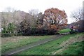 Footpath towards the river