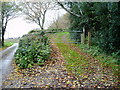 Public bridleway to Cathole Lane