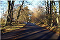 Road to Brechin near Hillhead of Burghill