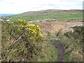 Footpath on Chun Downs