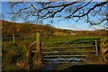 Towards Troedrhiw