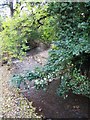 Whittle Burn below the packhorse bridge