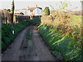 Narrow lane, Ryton