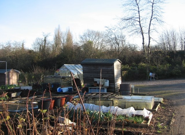 Tiverton Road Allotments © Mr Ignavy :: Geograph Britain And Ireland