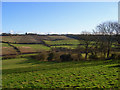 Farmland, Hughenden