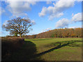 Farmland, Naphill