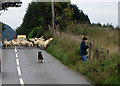 Stand Off In Perthshire