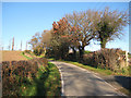 Lane north from Bromesberrow Heath