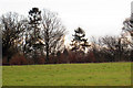 View towards Castweazel Oast, Biddenden, Kent