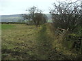 Footpath near Dean Hole