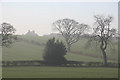 Brandrith farm from The Arboretum