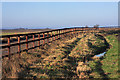 Horse fencing near Brinkley