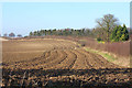 Field near Chalk Pit Farm