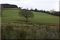 Field east of Rhydcymerau