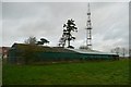 Ibthorpe radio tower