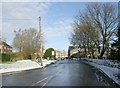 School Green - Thornton Road