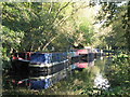 Narrowboats and houseboats on the Basingstoke Canal