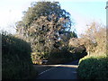 Holne Cross, near Ashburton