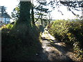 Track, near Lavender House Hotel, Ashburton