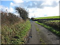 Approaching the junction with the Bodfeddan farm road