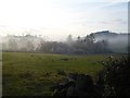 Mist still hangs over Fachwen Pool